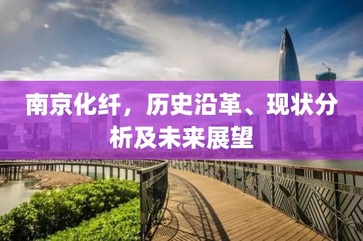 南京化纤，历史沿革、现状分析及未来展望