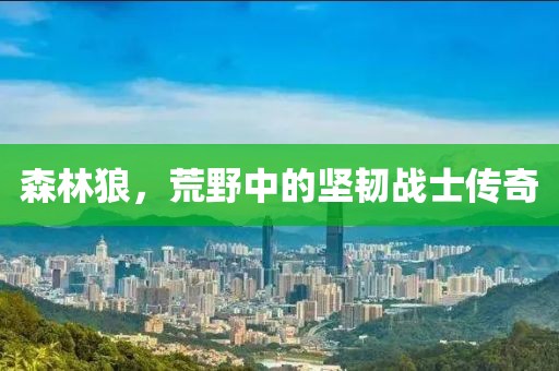 森林狼，荒野中的坚韧战士传奇