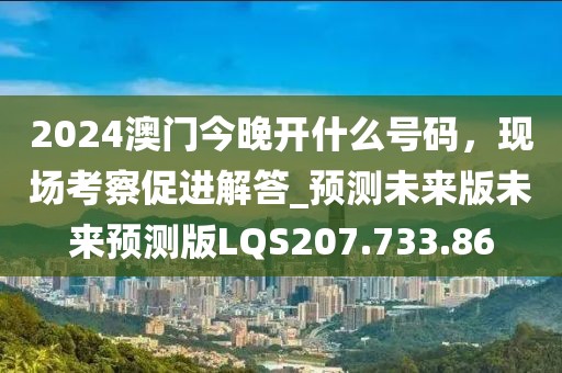 2024澳门今晚开什么号码，现场考察促进解答_预测未来版未来预测版LQS207.733.86
