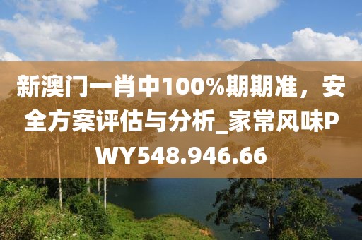新澳门一肖中100%期期准，安全方案评估与分析_家常风味PWY548.946.66