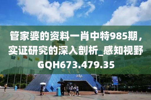 管家婆的资料一肖中特985期，实证研究的深入剖析_感知视野GQH673.479.35