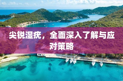 尖锐湿疣，全面深入了解与应对策略