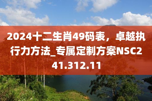 2024十二生肖49码表，卓越执行力方法_专属定制方案NSC241.312.11