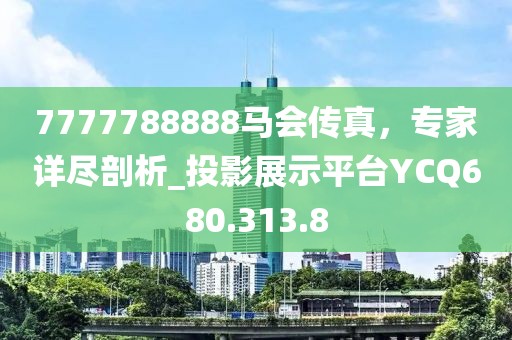 2024年11月 第31页