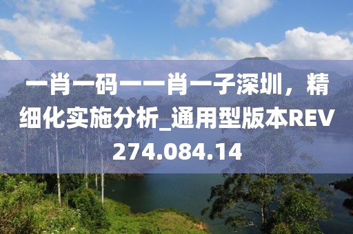 一肖一码一一肖一子深圳，精细化实施分析_通用型版本REV274.084.14