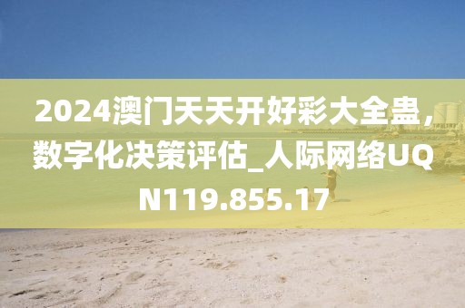 2024澳门天天开好彩大全蛊，数字化决策评估_人际网络UQN119.855.17