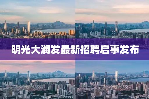 2024年11月 第19页