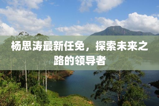 杨思涛最新任免，探索未来之路的领导者