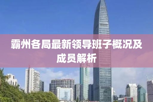 霸州各局最新领导班子概况及成员解析
