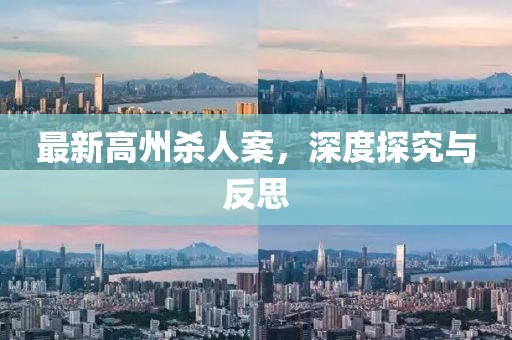 最新高州杀人案，深度探究与反思