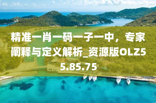 精准一肖一码一子一中，专家阐释与定义解析_资源版OLZ55.85.75