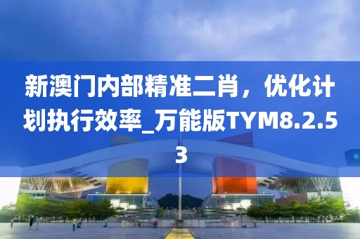 新澳门内部精准二肖，优化计划执行效率_万能版TYM8.2.53