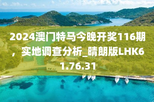 2024澳门特马今晚开奖116期，实地调查分析_晴朗版LHK61.76.31