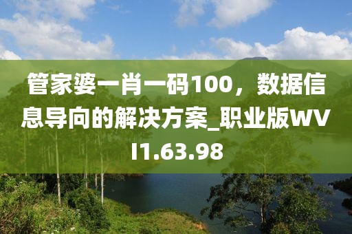 管家婆一肖一码100，数据信息导向的解决方案_职业版WVI1.63.98