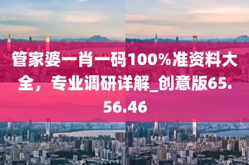 管家婆一肖一码100%准资料大全，专业调研详解_创意版65.56.46