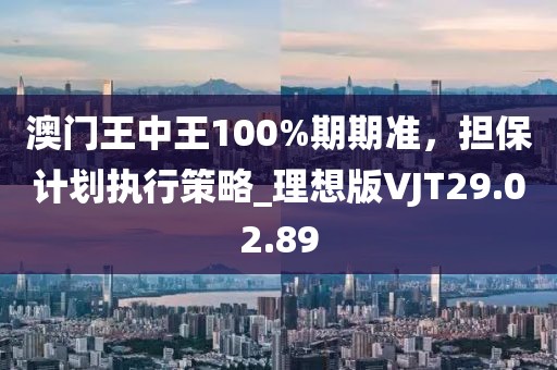 澳门王中王100%期期准，担保计划执行策略_理想版VJT29.02.89