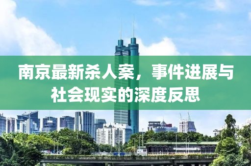 南京最新杀人案，事件进展与社会现实的深度反思