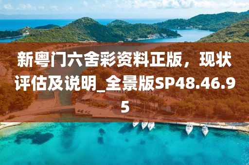 新粤门六舍彩资料正版，现状评估及说明_全景版SP48.46.95