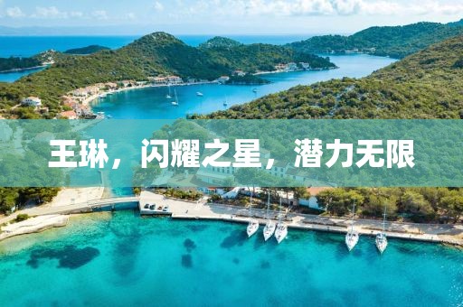 王琳，闪耀之星，潜力无限