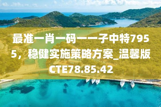 最准一肖一码一一子中特7955，稳健实施策略方案_温馨版CTE78.85.42