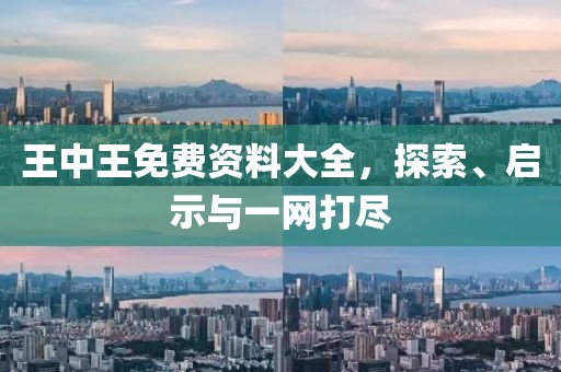 王中王免费资料大全，探索、启示与一网打尽