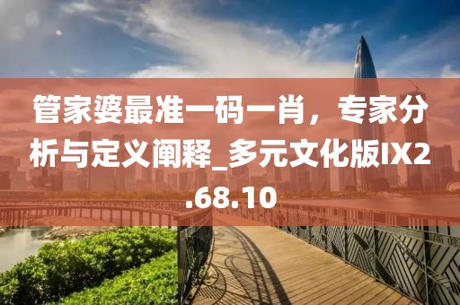 管家婆最准一码一肖，专家分析与定义阐释_多元文化版IX2.68.10