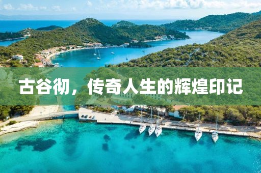 古谷彻，传奇人生的辉煌印记