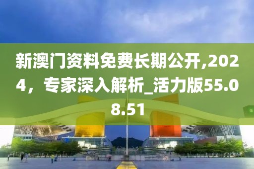 新澳门资料免费长期公开,2024，专家深入解析_活力版55.08.51