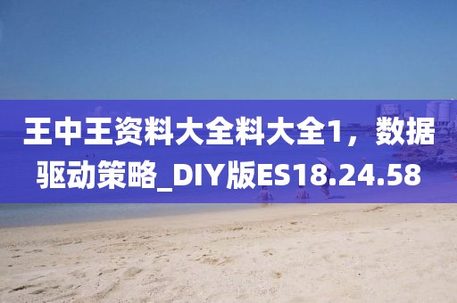 王中王资料大全料大全1，数据驱动策略_DIY版ES18.24.58