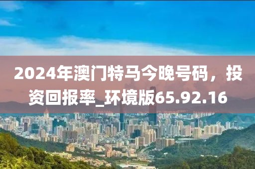 2024年澳门特马今晚号码，投资回报率_环境版65.92.16