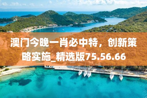 澳门今晚一肖必中特，创新策略实施_精选版75.56.66