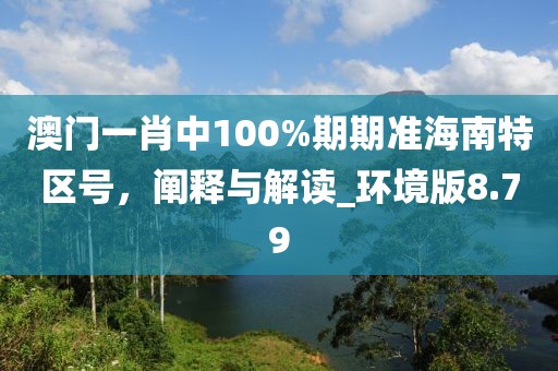澳门一肖中100%期期准海南特区号，阐释与解读_环境版8.79