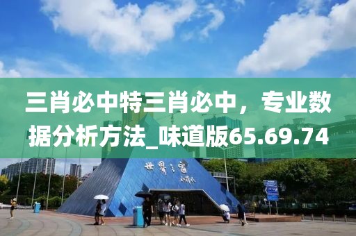 三肖必中特三肖必中，专业数据分析方法_味道版65.69.74