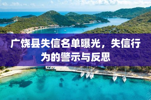 广饶县失信名单曝光，失信行为的警示与反思