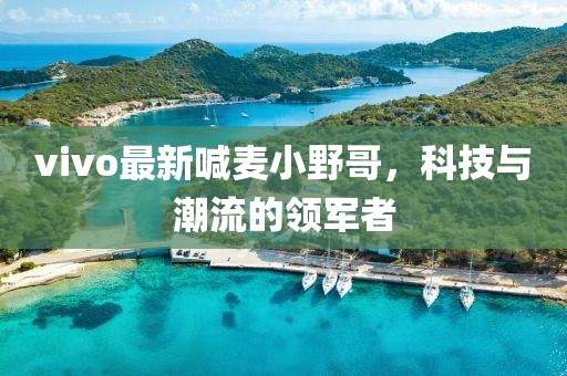 vivo最新喊麦小野哥，科技与潮流的领军者