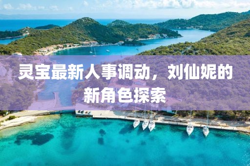 灵宝最新人事调动，刘仙妮的新角色探索