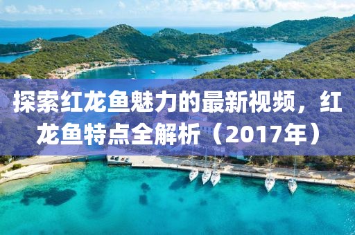 探索红龙鱼魅力的最新视频，红龙鱼特点全解析（2017年）