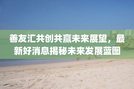 善友汇共创共赢未来展望，最新好消息揭秘未来发展蓝图