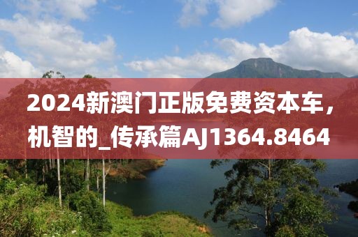 2024新澳门正版免费资本车，机智的_传承篇AJ1364.8464
