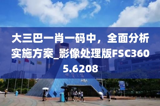 大三巴一肖一码中，全面分析实施方案_影像处理版FSC3605.6208
