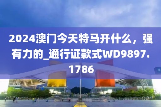 2024澳门今天特马开什么，强有力的_通行证款式WD9897.1786