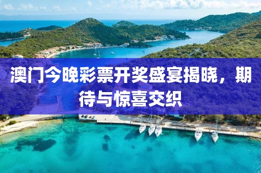 澳门今晚彩票开奖盛宴揭晓，期待与惊喜交织