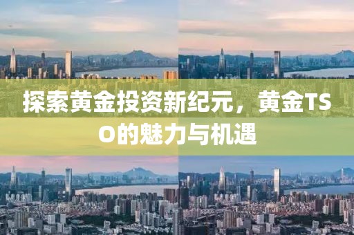探索黄金投资新纪元，黄金TSO的魅力与机遇