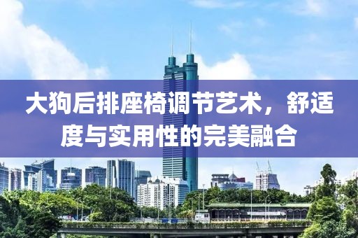 大狗后排座椅调节艺术，舒适度与实用性的完美融合