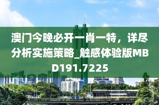 澳门今晚必开一肖一特，详尽分析实施策略_触感体验版MBD191.7225