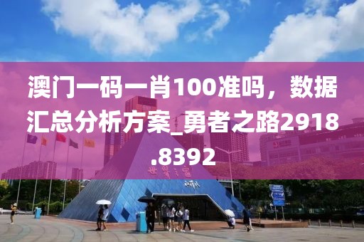 澳门一码一肖100准吗，数据汇总分析方案_勇者之路2918.8392