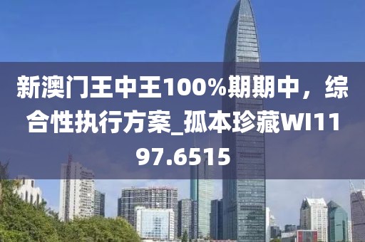 新澳门王中王100%期期中，综合性执行方案_孤本珍藏WI1197.6515