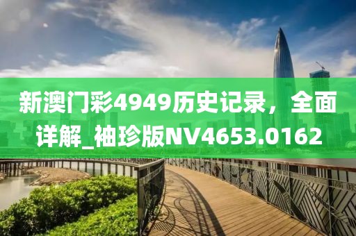 新澳门彩4949历史记录，全面详解_袖珍版NV4653.0162