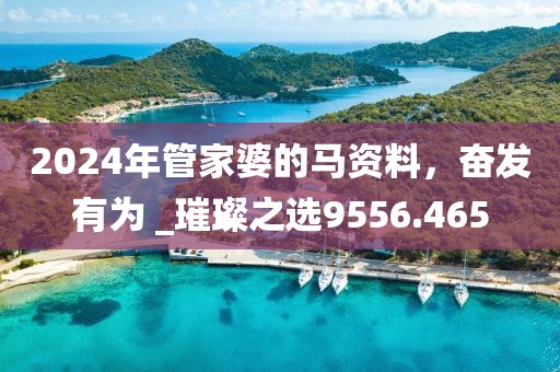 2024年管家婆的马资料，奋发有为 _璀璨之选9556.465