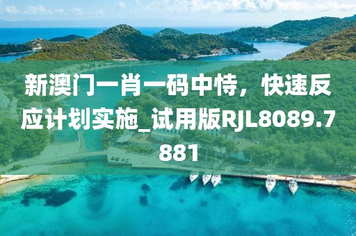 新澳门一肖一码中恃，快速反应计划实施_试用版RJL8089.7881
